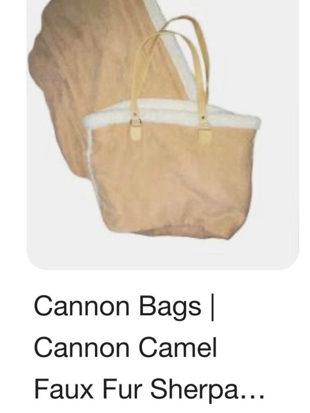 Cozy Shearling-Lined Women’s Tote Bag in Tan NWOT